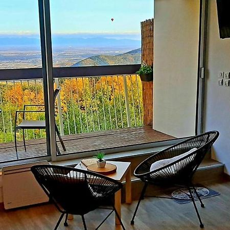 Studio avec sauna au calme à 15 min de Colmar Trois-Épis Exterior foto